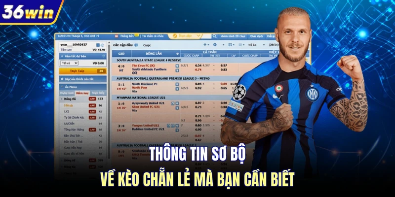 Thông tin sơ bộ về kèo chẵn lẻ mà bạn cần biết