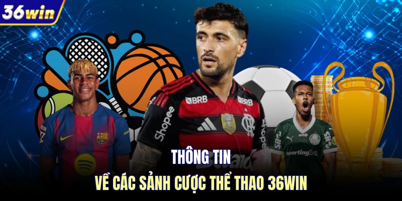 Thông tin về các sảnh cược thể thao 36WIN